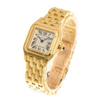 NEW CARTIER PANTHÈRE DE CARTIER WGPN0038